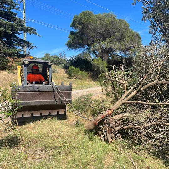 Heavy machinery being used by the tree climbing team at ascent trees to move branches removed from a tree.