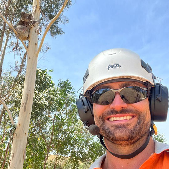 Chris Mackenzie, head climber at ascent trees, getting a selfie with a koala showing in the tree behind him.